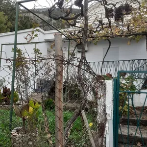 Отдельный дом в Сутоморе, фото 3