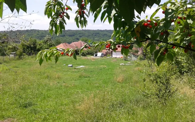 Отдельный дом в Лазарени