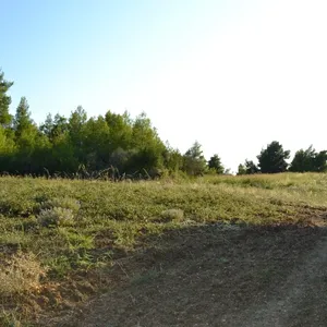 Земельный участок в Kassandra Municipality, фото 4