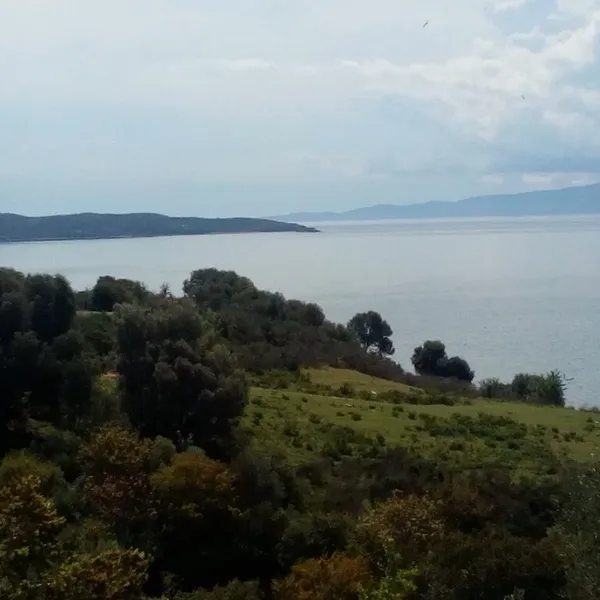 Земельный участок в Aristotle University of Thessaloniki, фото 1
