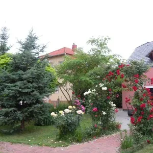 Отдельный дом в Кестхей, фото 5