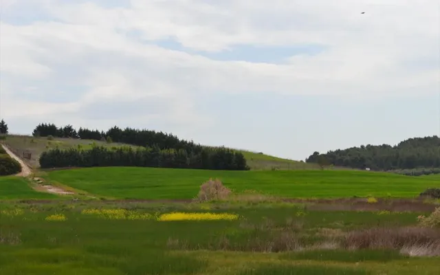 Земельный участок в Kassandra Municipality