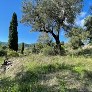 Земельный участок в Corfu, фото 3