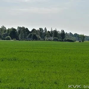 Земельный участок в Канама, фото 5
