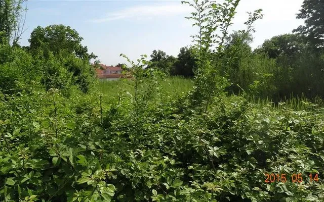 Земельный участок в Лижнян