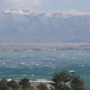 Земельный участок в Вир, фото 4