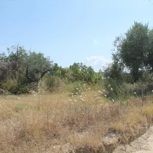 Земельный участок в Kassandra Municipality, фото 5