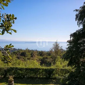 Вилла в Торре Педрера, фото 4