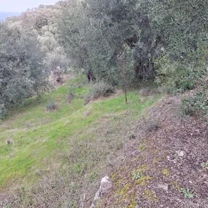 Земельный участок в Corfu, фото 4