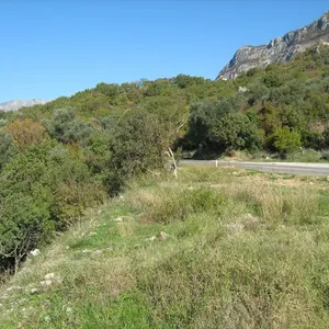 Земельный участок в Режевичи, фото 5