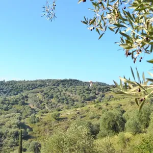 Земельный участок в Corfu, фото 4