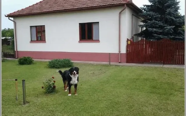 Отдельный дом в Пустамергеш
