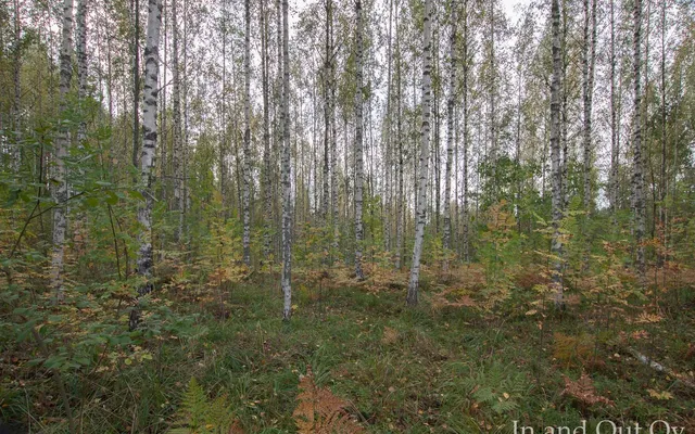Земельный участок в Лаппеенранта