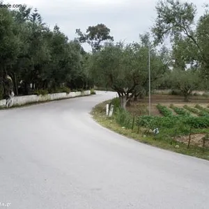 Земельный участок в Бокали, фото 4