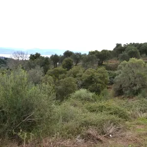 Земельный участок в Corfu, фото 5