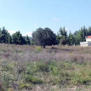 Земельный участок в Kassandra Municipality, фото 4