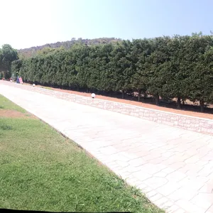 Отдельный дом в Коропи, фото 2