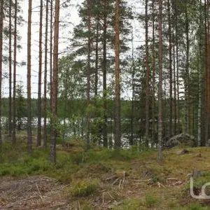 Отдельный дом в Руоколахти, фото 4