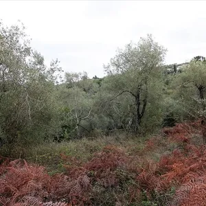 Земельный участок в Corfu, фото 4