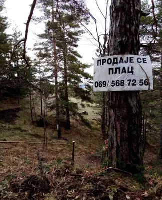 Земельный участок в Валево