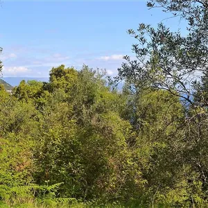 Земельный участок в Corfu, фото 5