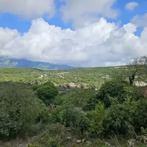 Дом в Ковачи, фото 4