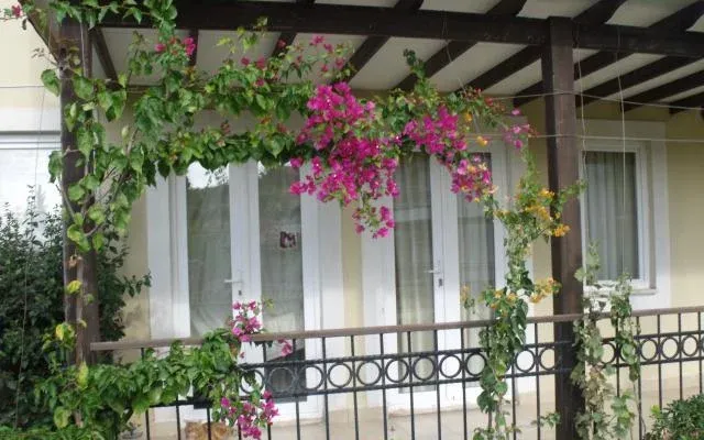 Квартира в Яныклар