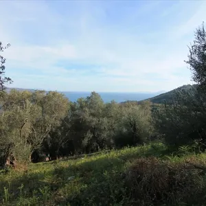 Земельный участок в Corfu, фото 5