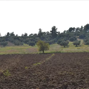 Земельный участок в Kassandra Municipality, фото 3