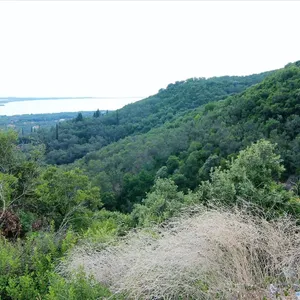 Земельный участок в Corfu, фото 4