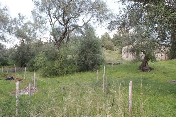 Земельный участок в Corfu