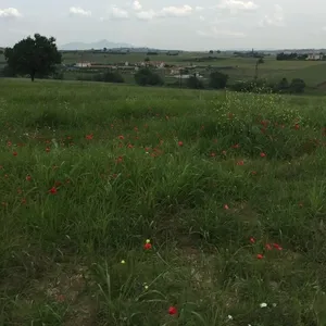 Земельный участок в Επανομή, фото 3