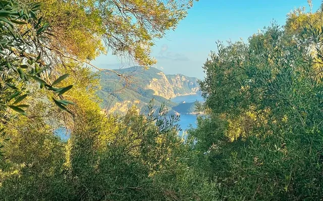 Земельный участок в Corfu