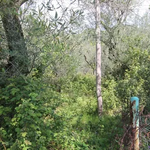 Земельный участок в Corfu, фото 4