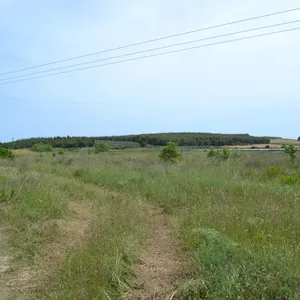 Земельный участок в Kassandra Municipality, фото 2