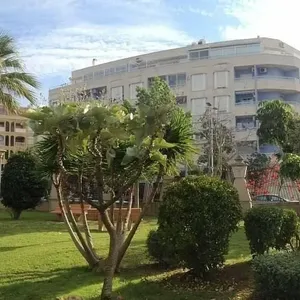 Квартира в Торревьеха, фото 5