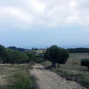 Земельный участок в Kassandra Municipality, фото 3