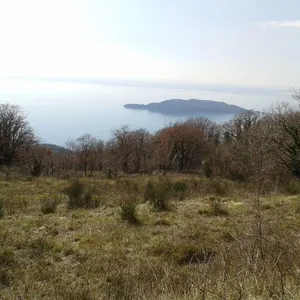 Земельный участок в Кульяче, фото 3