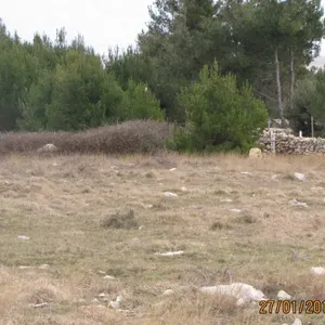 Земельный участок в Вир, фото 5