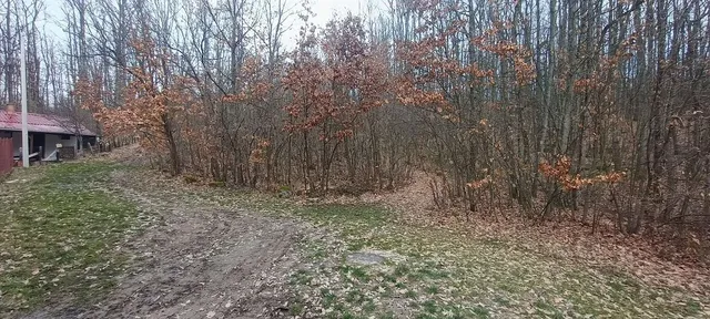 Земельный участок в Чачак