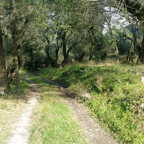 Земельный участок в Corfu, фото 1