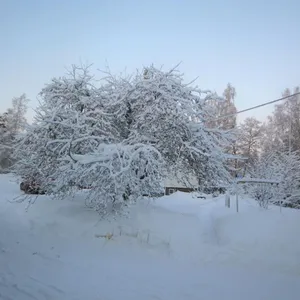 Квартира в Ховинсаари, фото 4
