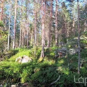 Земельный участок в Пуумала, фото 5