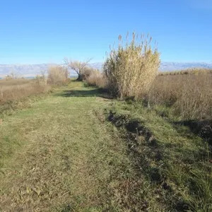 Земельный участок в Сабунике, фото 3