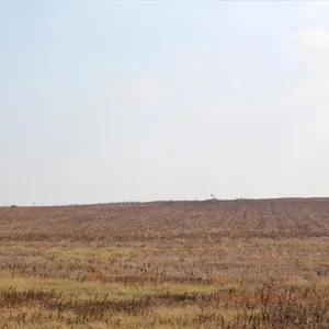 Земельный участок в Kassandra Municipality, фото 5