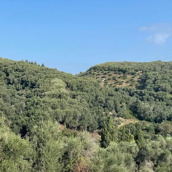 Земельный участок в Corfu, фото 1