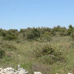 Земельный участок в Вир, фото 4