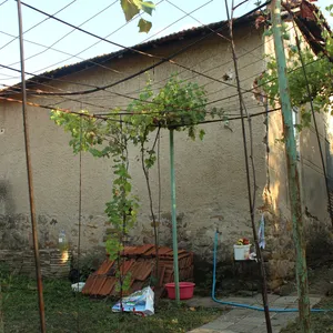 Вилла в Болгария, фото 4