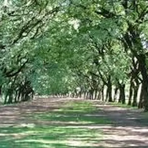 Квартира в Барселона, фото 1