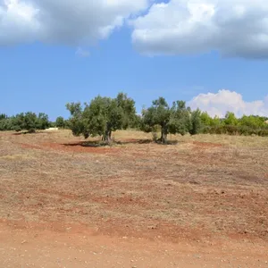 Земельный участок в Kassandra Municipality, фото 4